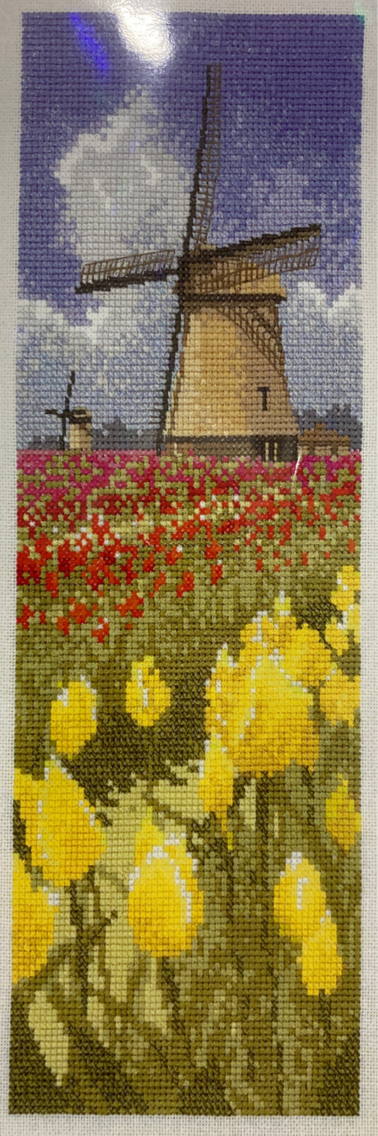 John Clayton's International Series - Tulip Fields