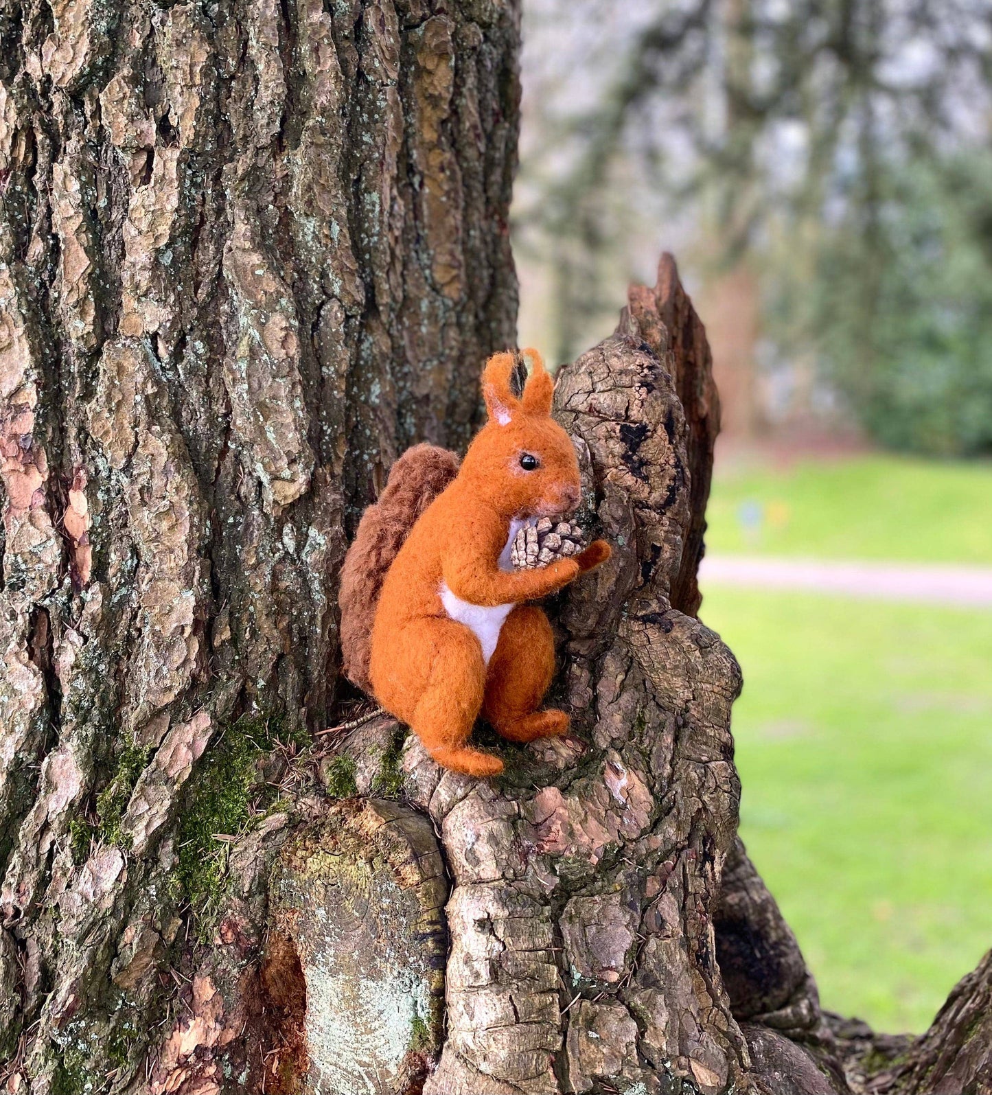 Red Squirrel Small Needle Felt Kit